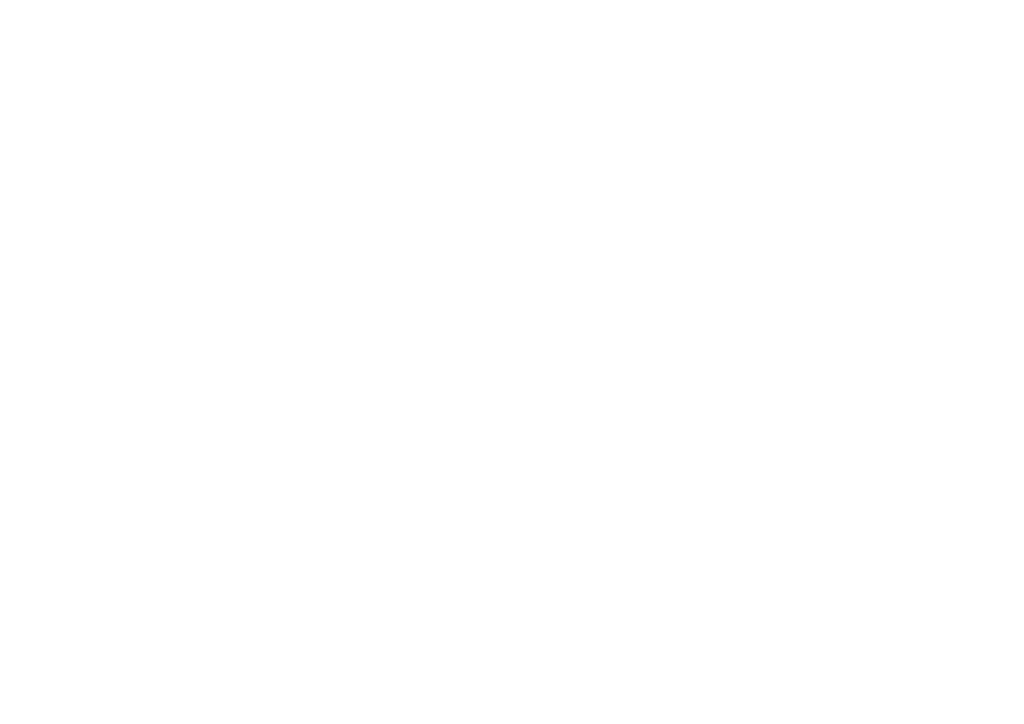 STX Photo Logo