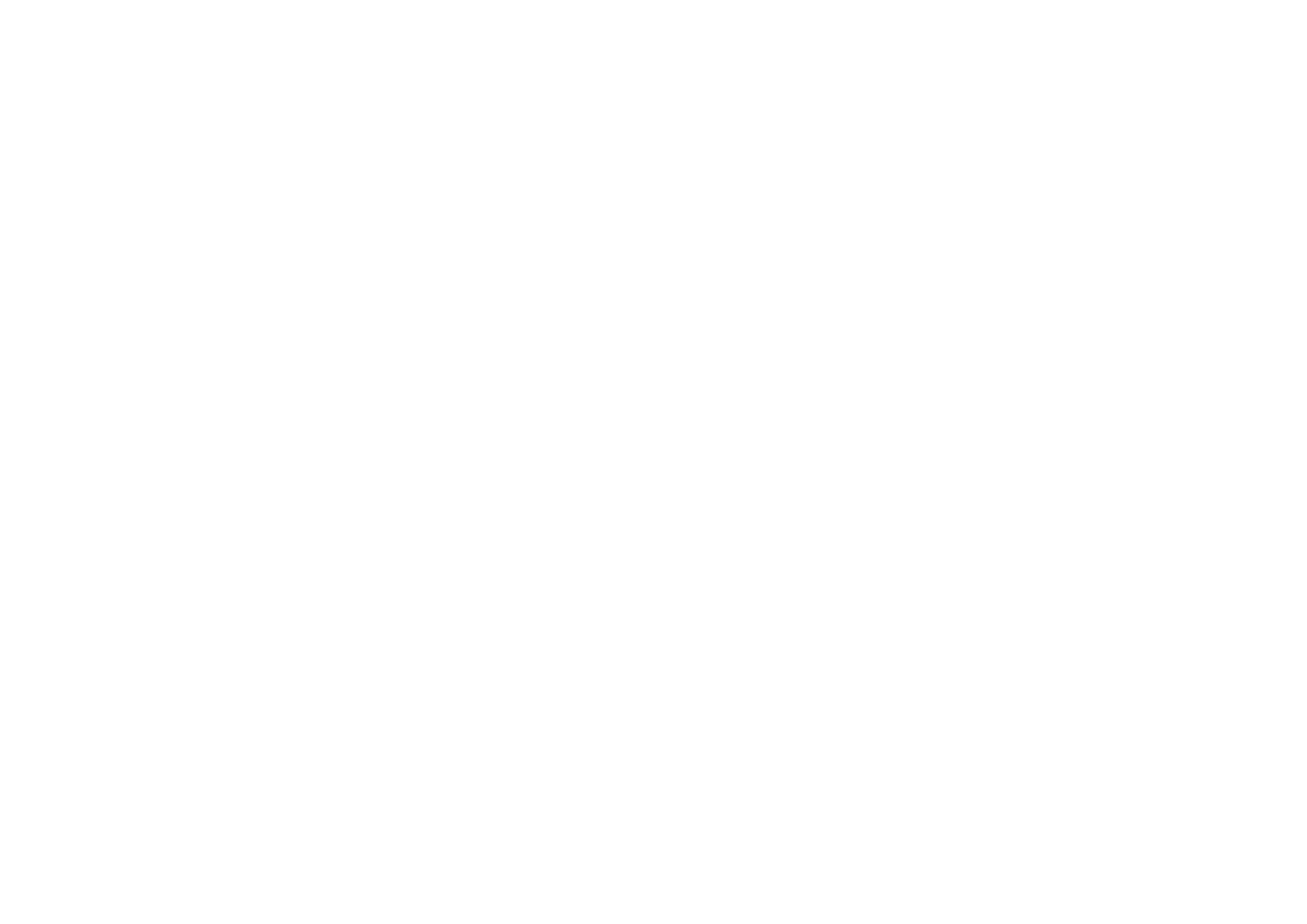 STX Photo Logo